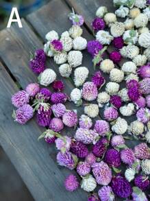 50/100/200 件有机蜀葵花，适合 DIY 花环、工艺品、装饰品 - 独立，无需电力，是圣诞节、万圣节、复活节、感恩节装饰的理想选择