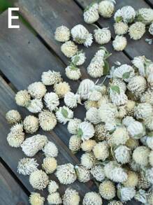 50/100/200 件有机蜀葵花，适合 DIY 花环、工艺品、装饰品 - 独立，无需电力，是圣诞节、万圣节、复活节、感恩节装饰的理想选择