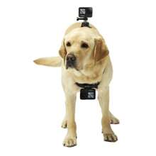 Adjustable Fetch Dog Leash, Harness Strap Mount For DJI Action Camera, Dual Mounting For Dog Mounted Camera, Video Recorder Holder - Multicolor - View 2