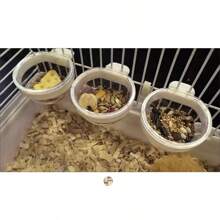 可拆卸透明碗，小食杯，方便悬挂种子，喂水器，适用于鸟类、鹦鹉、金丝雀 - 無色 - 查看 6