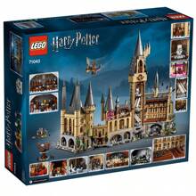 LEGO Series 71043  Castle Building Blocks