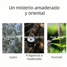 Maiden Anna Women's Perfume 50ml The Depth Of Sandalwood, The Freshness Of Cedar And The Warmth Of Patchouli Merge Into A Woody And Sophisticated Fragrance, Which Transmits Independence And Elegance. Ideal For Formal Events In Mexico, Such As Gala Dinners Or Business Meetings. Its Deep And Elegant Aroma Makes You Stand Out As A Sophisticated And Self-Confident Woman. - Woody & Earthy - View 2