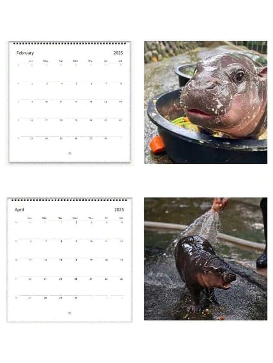 1pc 2025 Moo Deng Calendar Moo Deng Calendar Moo Deng Pygmy