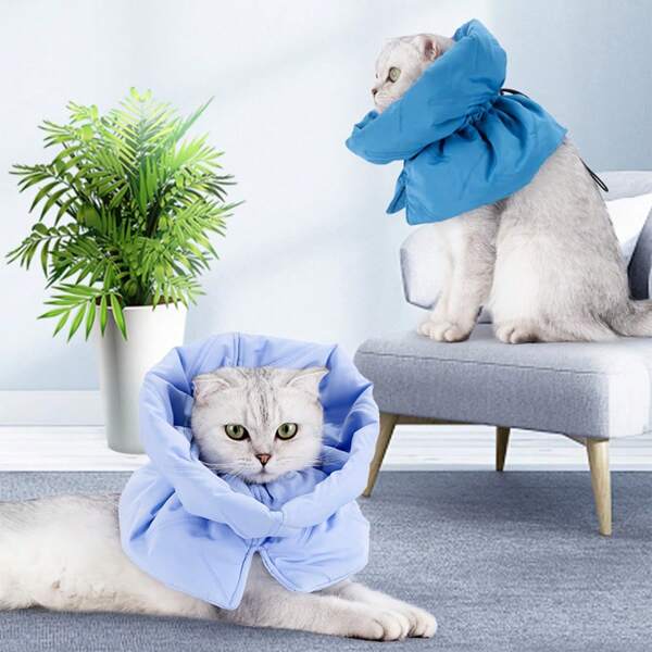 Elisabeth Circle Kitten Com Babador De Coleira Ajustável Gato Elisabeth Circle Após Esterilização E Castração É À Prova De Lambidas, À Prova De Frio E Quente