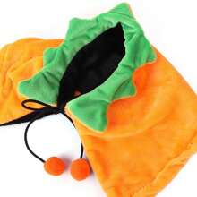 Pet Clothing Set