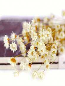 1 Bunch Of Brazilian Mini Star Flowers Bouquet Natural Dried Flowers Wedding Decoration DIY Crafts And Home Decor Ornaments, Arts & Crafts For Christmas, Thanksgiving