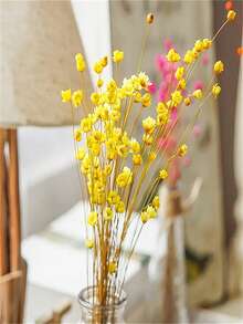 1 Bunch Of Brazilian Mini Star Flowers Bouquet Natural Dried Flowers Wedding Decoration DIY Crafts And Home Decor Ornaments, Arts & Crafts For Christmas, Thanksgiving