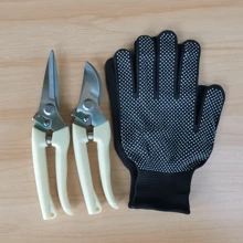 Ivory White Handle Stainless Steel Pruning Shears, Garden Bonsai Tree Clippers, Straight & Curved Blades