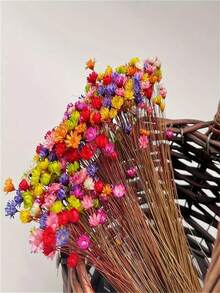 1 Bunch Of Brazilian Mini Star Flowers Bouquet Natural Dried Flowers Wedding Decoration DIY Crafts And Home Decor Ornaments, Arts & Crafts For Christmas, Thanksgiving