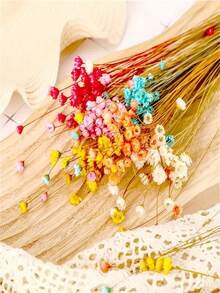 1 Bunch Of Brazilian Mini Star Flowers Bouquet Natural Dried Flowers Wedding Decoration DIY Crafts And Home Decor Ornaments, Arts & Crafts For Christmas, Thanksgiving