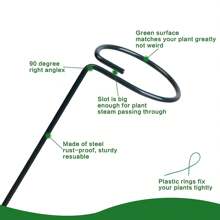 Plant Support Stakes, Metal Garden Plant Stake, Green Half Round Plant Support Rings For Potted Plants, Plant Cage For Tomato, Hydrangea - Green - View 5