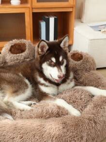 1 chiếc giường thú cưng hình bàn chân bằng vải nhung, ấm áp và thoáng khí với lớp lót dày, phù hợp cho mèo và chó nhỏ/vừa/lớn, mọi mùa (Lưu ý: Vui lòng đặt hàng lớn hơn một cỡ để thoải mái hơn. Sản phẩm có thể bị dẹt khi mới mở hộp, nhưng sẽ trở lại hình dạng ban đầu sau 3-5 ngày xới và đặt thủ công) - màu nâu - Xem 8