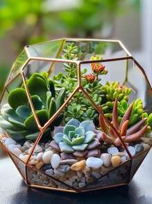 100/300/500/800/1000g0.4-0.6/1-2/2-3cm天然溪流石、混合颜色、装饰鹅卵石、微景观、水族馆、鱼缸、底部铺路、沙石花瓶、多肉盆栽、土壤填充和覆盖物