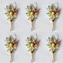2/3/4/6/8/10/12 buc. Mini buchet de flori uscate, potrivit pentru decorarea centrului de birou pentru acasă, decorarea torturilor de petrecere, butoniere pentru domnișoare, decorațiuni vintage pentru nunta pentru bărbați în stil boho, cadou pentru mireasă