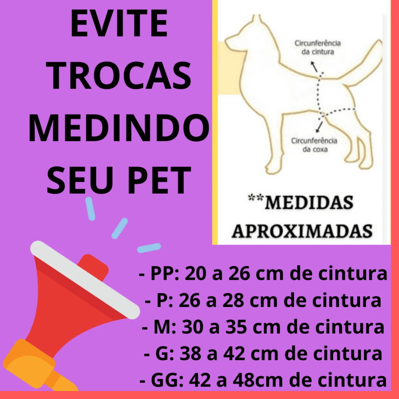 Luxury Hygienic Panties For 2 Dogs In Heat Moda De Mujer SHEIN M xico luxury-hygienic-panties-for-2-dogs-in-heat-moda-de-mujer-shein-m-xico
