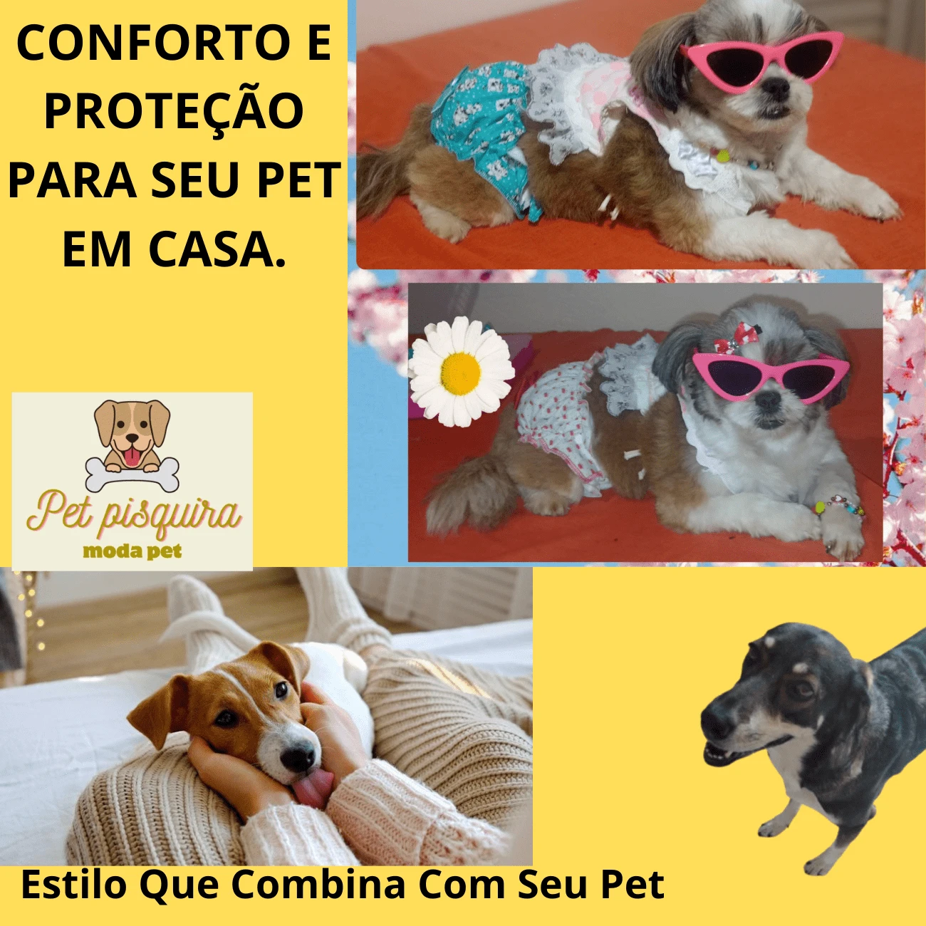 Luxury Hygienic Panties For 2 Dogs In Heat SHEIN ITALIA luxury-hygienic-panties-for-2-dogs-in-heat-shein-italia