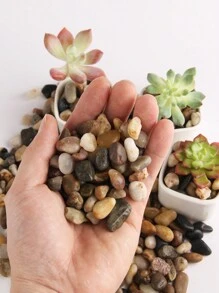 100/300/500/800/1000g0.4-0.6/1-2/2-3cm天然溪流石、混合颜色、装饰鹅卵石、微景观、水族馆、鱼缸、底部铺路、沙石花瓶、多肉盆栽、土壤填充和覆盖物