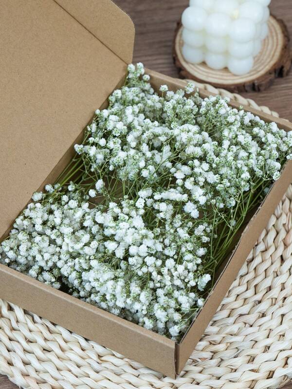1 Box Preserved Natural Baby's Breath Flowers - Elegant Everlasting Baby's Breath, Suitable For Home, Office, Wedding, Halloween Parties, Crafts Maintenance-Free, Suitable For 14+ Years Old