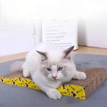 Griffoirs pour chat