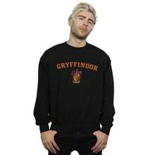 Harry Potter Heren Gryffindor Crest Sweatshirt (Zwart)