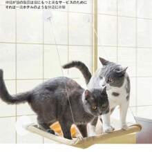 Hanging Cat Bed Pet Cat Hammock Aerial Cats Bed House Kitten Climbing Frame Sunny Window Seat Nest Bearing 20kg Pet Accessories - màu đen - Xem 7