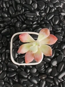 1pcs300/500/800g Decorative Pebbles, Black Polished Stones, Succulent Plants, Potted Plants, Green Plants, Small Stones, Flower Vases, Fillers, Balcony Fish Tanks, Landscaping, Rain Flower Stones