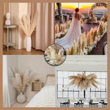 5pcs/Set 40-Inch (101.6cm) Pampas Grass Decor - Pompus Flower, Tall Reed Grass For Vase, Living Room Floor, Floor Plants, And Grass Wall Decor Gifts Birthday Graduation,Fall Decor,Autumn - Primary Color - View 11
