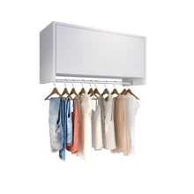 Laundry Delta Cabinet With Hanger And Hinged Door - 白色 - 查看 2