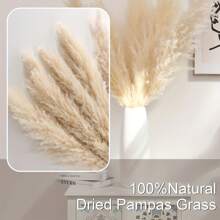 5pcs/Set 40-Inch (101.6cm) Pampas Grass Decor - Pompus Flower, Tall Reed Grass For Vase, Living Room Floor, Floor Plants, And Grass Wall Decor Gifts Birthday Graduation,Fall Decor,Autumn - Primary Color - View 10