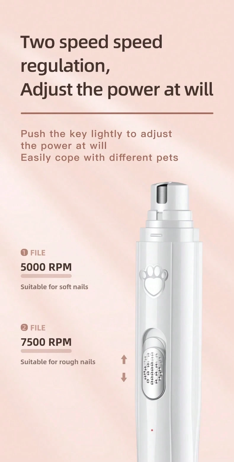 GRKB 3 Pezzi Alimentatore per Gatti Medicina Pillole Tablet, Mangiatoia per Cane Gatto Pillole Riutilizzabile, Feeding Dispenser Strumento per Cani Gatti Animali GRKB 3 Pezzi Alimentatore per Gatti Medicina Pillole Tablet, Mangiatoia per Cane Gatto Pillole Riutilizzabile, Feeding Dispenser Strumento per Cani Gatti Animali