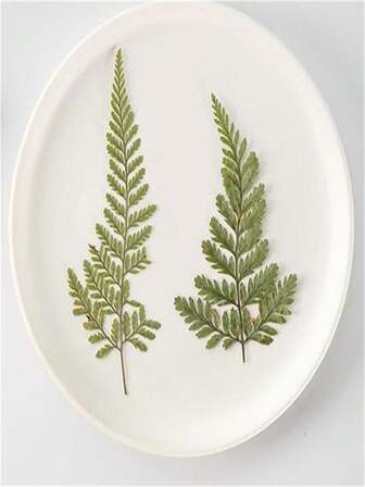 1 Bag Of Fern Leaves, Embossed Dried Flowers, Cosmetic Plant Specimens For DIY Mobile Phone Cases, Bookmarks, Aromatherapy Candles, Envelopes, Real Leaves, Real Flowers, Leaf Stickers, Christmas