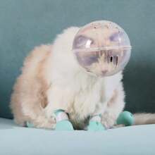 Transparent Breathable Cat Mask, Adjustable Cat Helmet, Cat Mask Headcover Anti-Licking Space, For Grooming