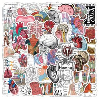 50pcs Human Anatomy Sticker Set, Retro Graffiti Stickers For Luggage, Guitar, Skateboard, Phone Case, Waterproof,School Supplies,Back To School