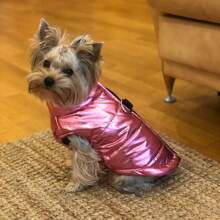 Winter Dog Clothes For Small Medium Dogs Cat Outdoor Waterproof Warm Jacket Puppy Coat Yorkies Chihuahua Pug Outfits Pet Costume