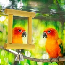 1pc Mirror Acrylic Yellow Chew Grind Wooden Block Medium/Small Parrots Bell Toy Cage Pendant - Yellow - View 5