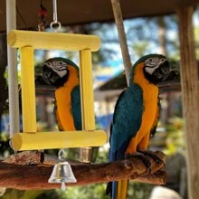 1pc Mirror Acrylic Yellow Chew Grind Wooden Block Medium/Small Parrots Bell Toy Cage Pendant - Yellow - View 4