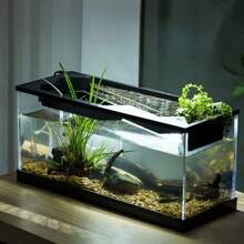 Small Fish Tank, Aquarium Tank With Build-In Light, Water Pump, Clear Cover, Landscaping System, High Transparency Acrylic Rectangular Fish Tank For Living Room