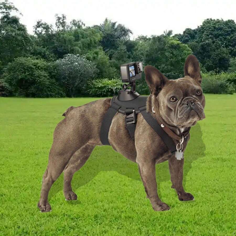 Adjustable Fetch Dog Leash, Harness Strap Mount For DJI Action Camera, Dual Mounting For Dog Mounted Camera, Video Recorder Holder - Multicolor - View 1