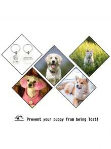 1 pieza Placa de identificación conmemorativa para mascotas grabada personalmente para perros - Grabada con nombre, número de teléfono y dirección para perros callejeros Colgantes de mascotas