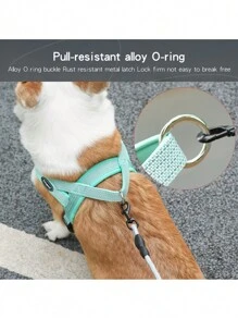 HP391 Reflective No-Pull Dog Harness With Soft Padding - Adjustable, Comfort Fit For Small To Medium Breeds