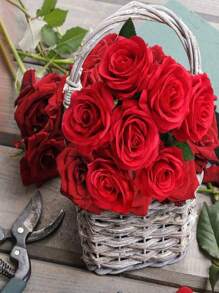 20/10/6/1pc, Artificial Rose Flowers, Faux Rose Flowers, Wedding Decoration, Bridal Bouquet, Suitable For Room Bedroom, Office Desk, Living Room, Wall, Kitchen, Birthday Gift, Wedding Decoration, Table Centerpiece, Outdoor Garden Decoration, Valentine's Day Home Decor - Red - View 7