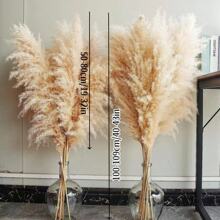 5pcs/Set 40-Inch (101.6cm) Pampas Grass Decor - Pompus Flower, Tall Reed Grass For Vase, Living Room Floor, Floor Plants, And Grass Wall Decor Gifts Birthday Graduation,Fall Decor,Autumn - Primary Color - View 15