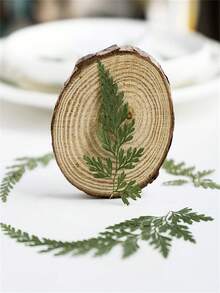 1 Bag Of Fern Leaves, Embossed Dried Flowers, Cosmetic Plant Specimens For DIY Mobile Phone Cases, Bookmarks, Aromatherapy Candles, Envelopes, Real Leaves, Real Flowers, Leaf Stickers, Christmas - Green - View 9