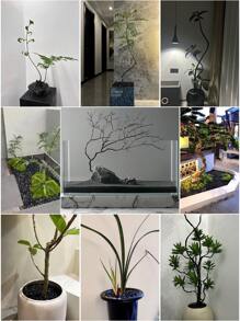 1pcs300/500/800g Decorative Pebbles, Black Polished Stones, Succulent Plants, Potted Plants, Green Plants, Small Stones, Flower Vases, Fillers, Balcony Fish Tanks, Landscaping, Rain Flower Stones