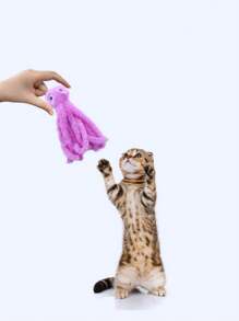 1 件多色毛绒宠物娃娃，可爱章鱼形状猫娃娃，适合猫妈妈，狗妈妈，爱猫人士，爱狗人士，最佳猫妈妈，最佳狗妈妈，酷 - 彩色 - 查看 2