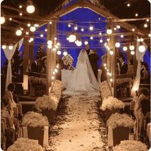 Clothesline Lights Lighting Cord 10 Sockets Black 10m - 110/220V - 彩色 - 查看 7