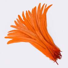 10Pcs 35-40cm/14-16inch Natural Women's Rooster Feather Headwear Accessories DIY Feather Crafts Wedding Party Home Decoration