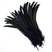 10Pcs 35-40cm/14-16inch Natural Women's Rooster Feather Headwear Accessories DIY Feather Crafts Wedding Party Home Decoration