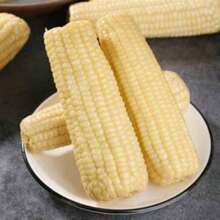 White Sweet Glutinous Corn Seeds, Big Stick Corn Seeds, Courtyard Planting Of Spring And Autumn Vegetable Seeds - 100pcs - View 3