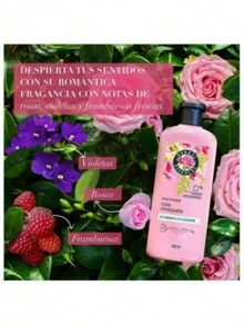 Acondicionador Herbal Essences Suavidad Rosa mosqueta 400 ml - Rosa Fucsia - Ver 3